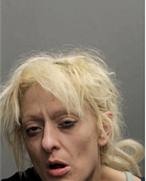 AMANDA L CONNE, Cook County, Illinois