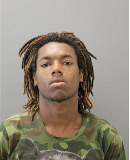 ELMON A DARLING, Cook County, Illinois