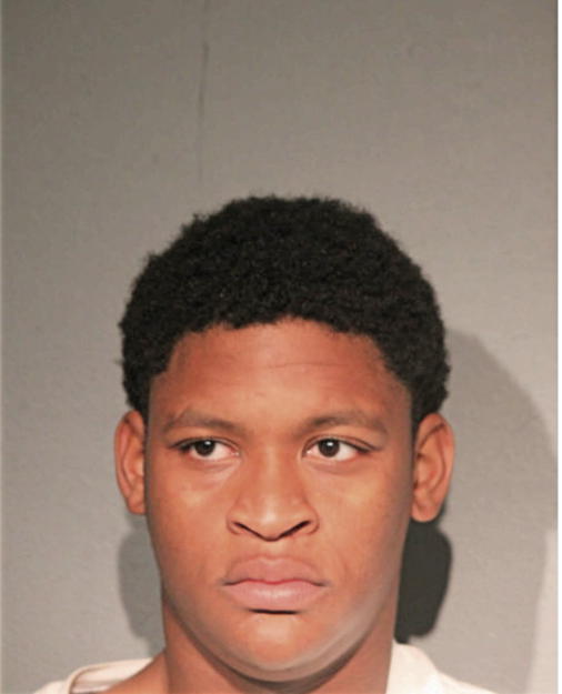 MICHAEL M DAVIS, Cook County, Illinois