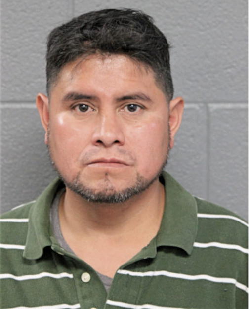 ISRAEL DOMINGUEZ-BANDA, Cook County, Illinois