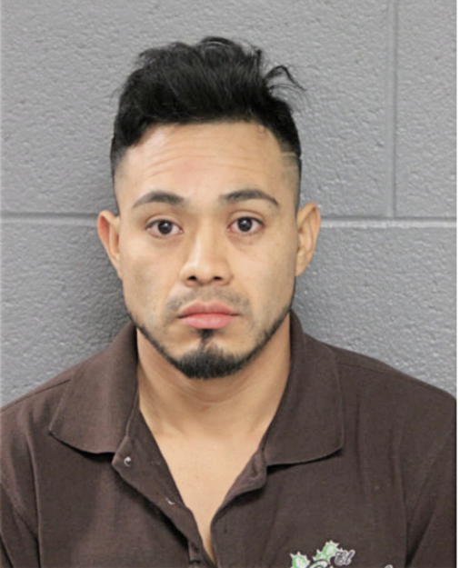 ALEXANDER GOMEZ GONZALEZ, Cook County, Illinois