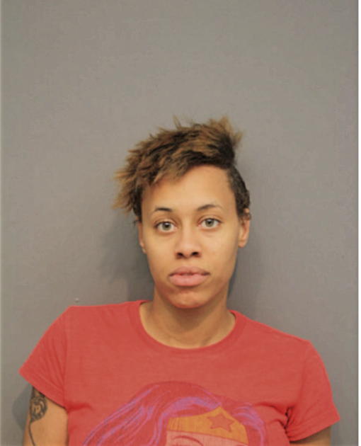 ASHLEY L HOPKINS-BEY, Cook County, Illinois
