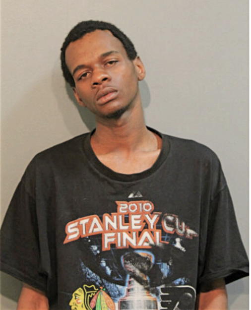 AMON L JOHNSON, Cook County, Illinois