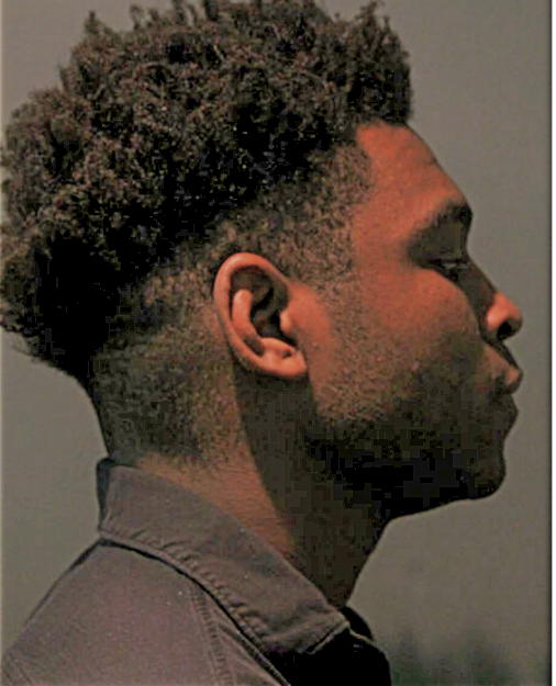 CHRISTIAN JONES, Cook County, Illinois