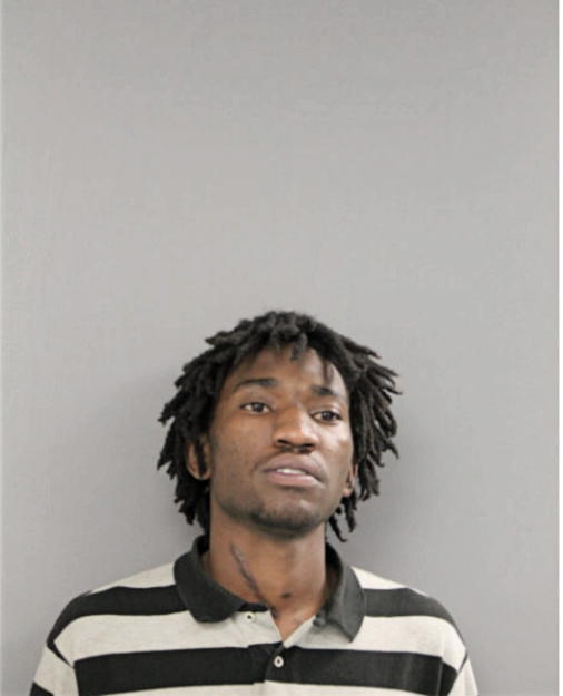 REGINALD J JONES, Cook County, Illinois