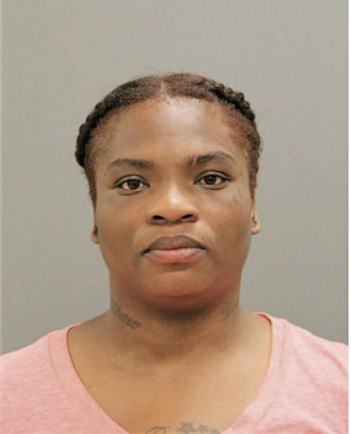 DIANA P MCKENZIE, Cook County, Illinois