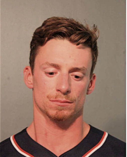DAVID A MEADE, Cook County, Illinois