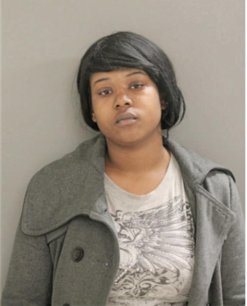 LISA R JONES, Cook County, Illinois
