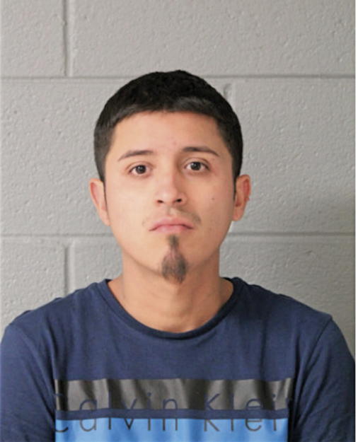 ELIAS ROJAS, Cook County, Illinois