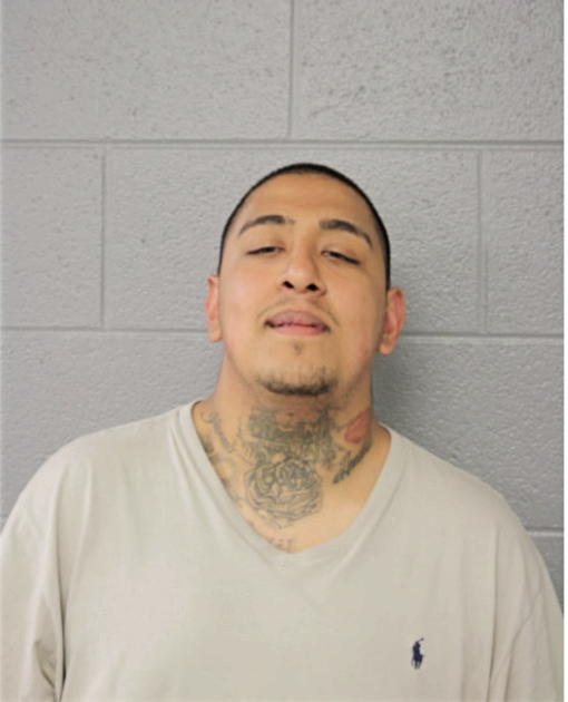 ABEL (NMI) RUBALCABA, Cook County, Illinois