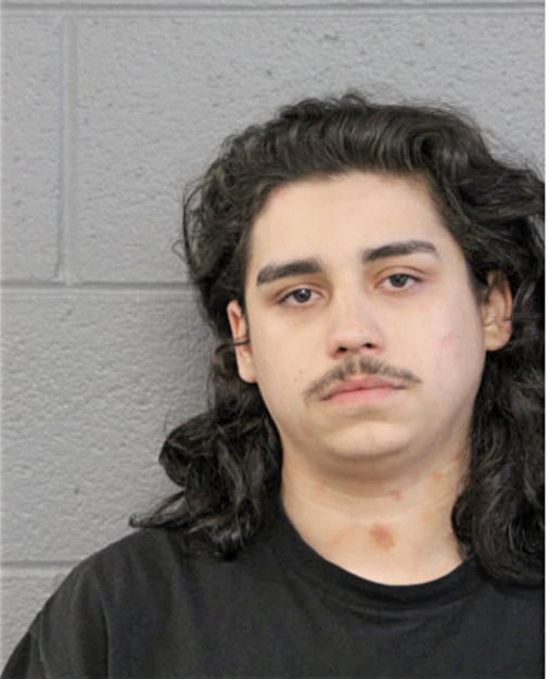 NICOLAS J SOLIS, Cook County, Illinois