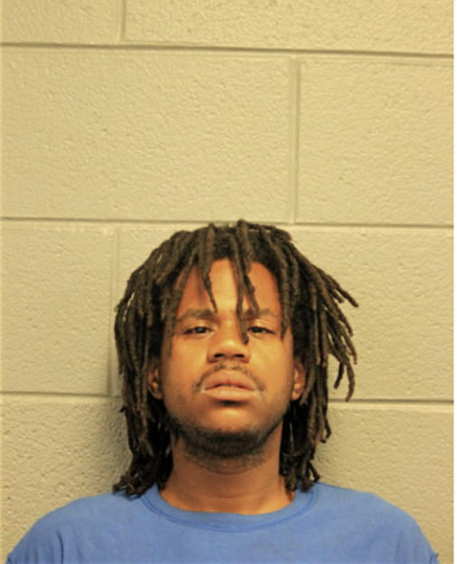 ROBERT P WARNER, Cook County, Illinois