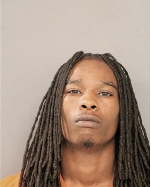 STEVEN E WILLIAMS, Cook County, Illinois