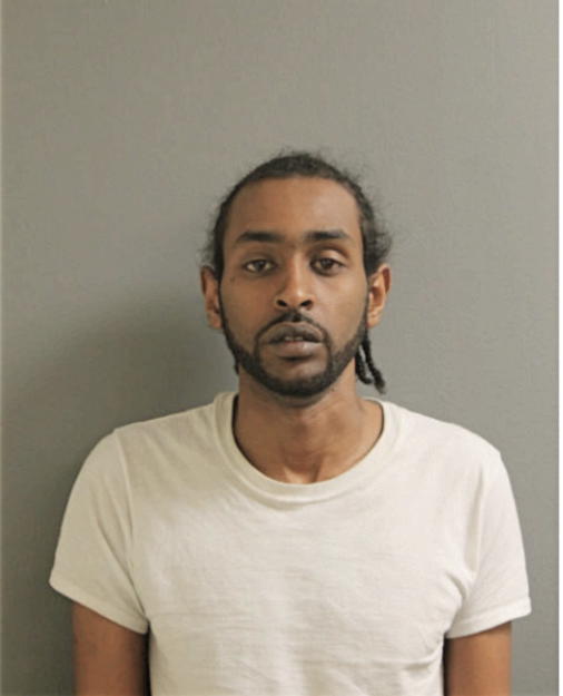 TESFAI ABRISH, Cook County, Illinois