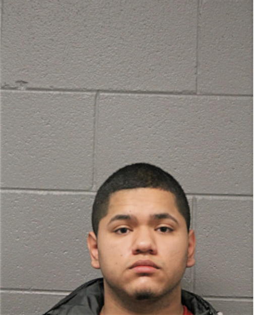 RODOLFO ALANIZ, Cook County, Illinois