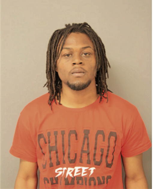 ERIC K ANDERSON, Cook County, Illinois