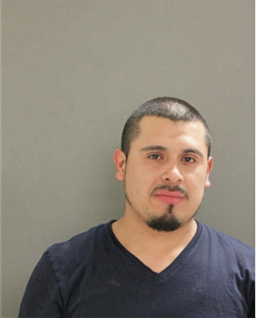 GUSTAVO B BELTRAN, Cook County, Illinois