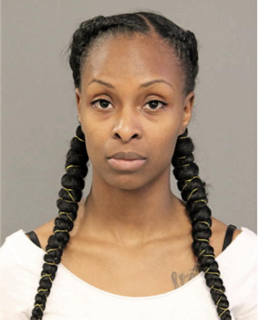 JANISHA N CONNER, Cook County, Illinois