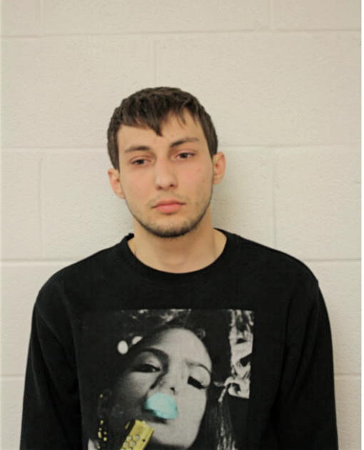 CORNELIU COPIL, Cook County, Illinois