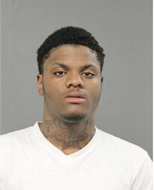 DAVID P DAVIS, Cook County, Illinois