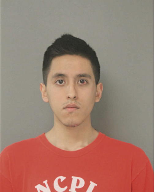 HECTOR FAVELA, Cook County, Illinois