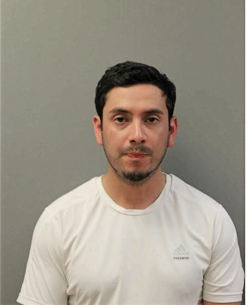 MARCO FLORES, Cook County, Illinois