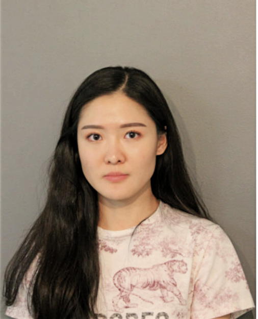 LIZHI JING, Cook County, Illinois