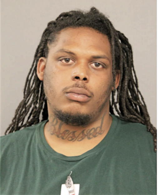MALIK R JOHNSON, Cook County, Illinois