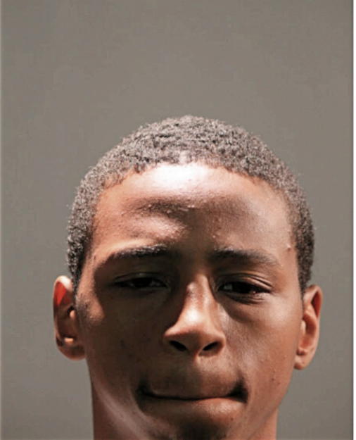 LESHAWN D L COX, Cook County, Illinois