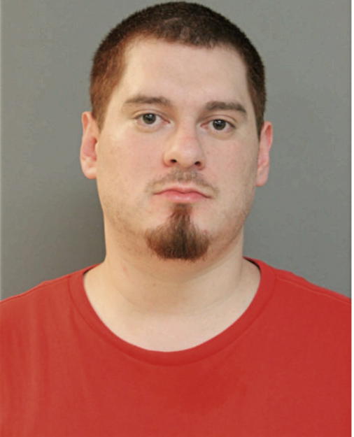 BRIAN J MAGDALENO, Cook County, Illinois