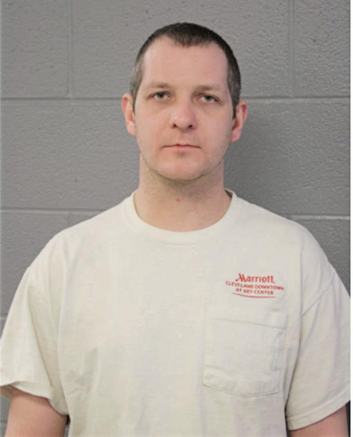 DANIEL J MICHALEK, Cook County, Illinois