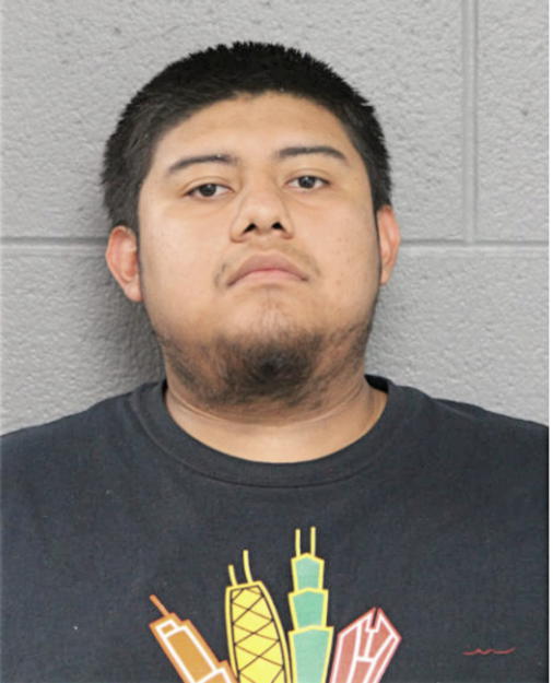 MOISES PAVIA, Cook County, Illinois