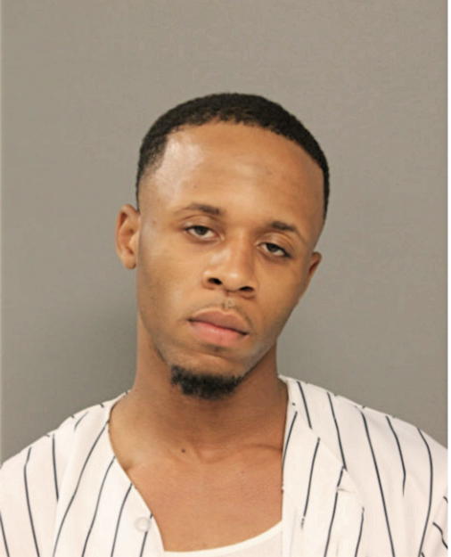 JAMES L PAYNE, Cook County, Illinois