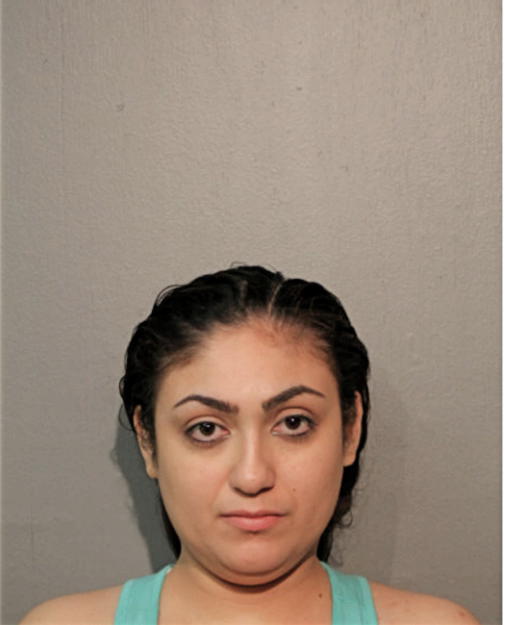 ALBA L RIVERA, Cook County, Illinois