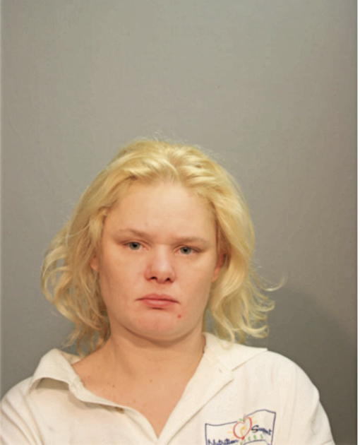 CHRISTINA A VANDENBOSCH, Cook County, Illinois
