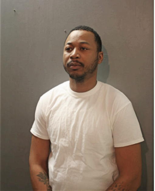 ANDREW B WEBB, Cook County, Illinois