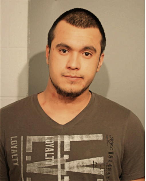 ANDRES ZAMORA, Cook County, Illinois