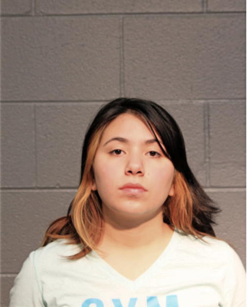 ERICCA LOPEZ ARROYO, Cook County, Illinois