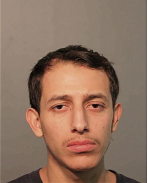 DANIEL J BECERRIL, Cook County, Illinois