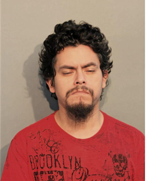 ALEJANDRO A BERNAL, Cook County, Illinois