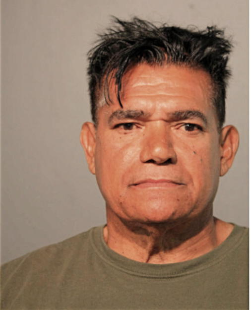 FRANCSICO J FIGUEROA, Cook County, Illinois