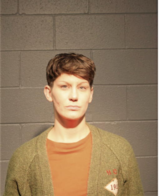 JANINE I GURGONE, Cook County, Illinois