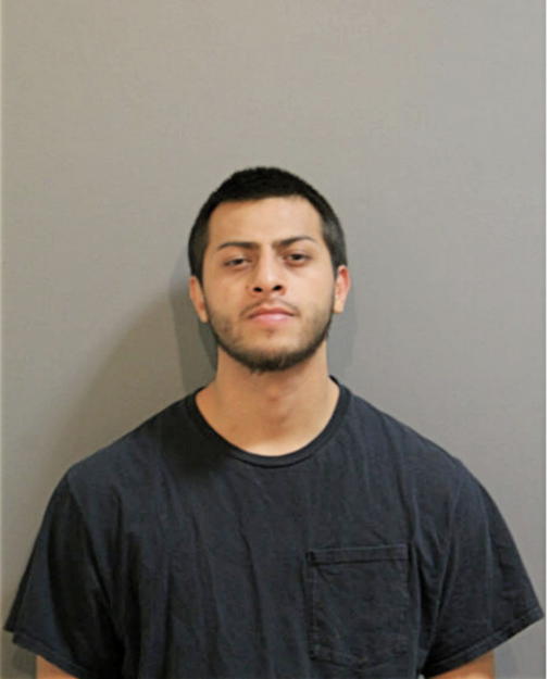 JUAN J GUZMAN, Cook County, Illinois