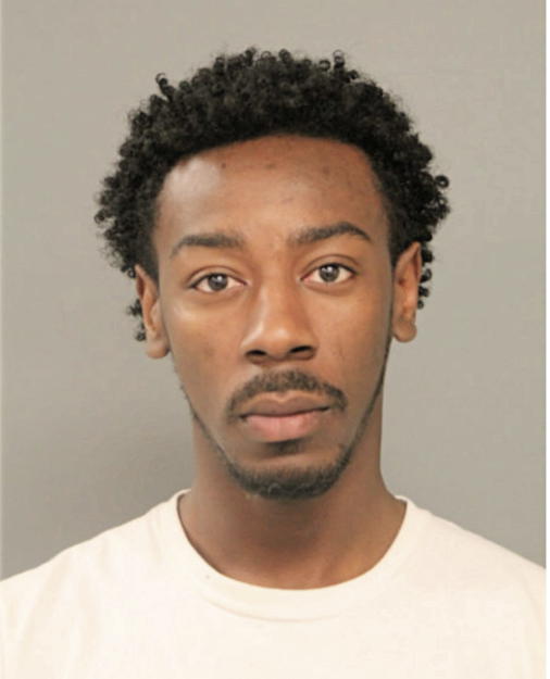 RONALD L HAYNES, Cook County, Illinois