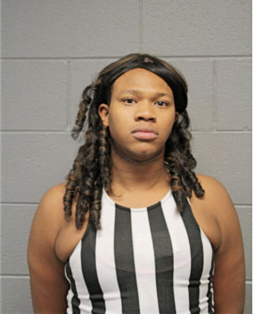 JEFFERY J HOLMES, Cook County, Illinois