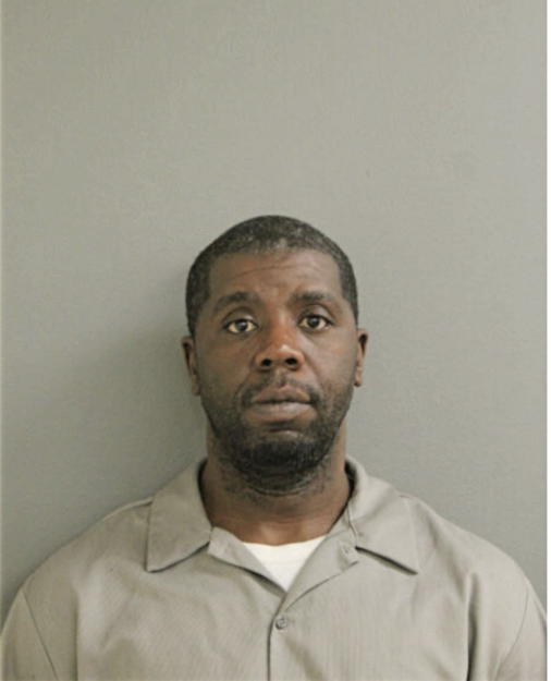 BRADLEY L HUDSON, Cook County, Illinois