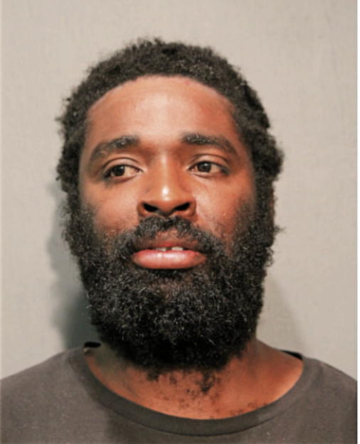 DAMIEN L ROBINS, Cook County, Illinois