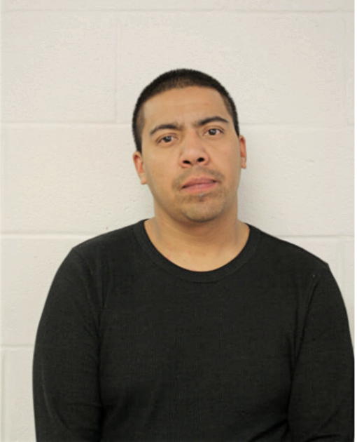 MANUEL G MANOTAS, Cook County, Illinois