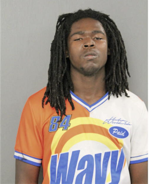 TRAVIS T MATTHEWS, Cook County, Illinois