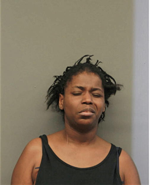 TAMEKA N MCKINNIS, Cook County, Illinois